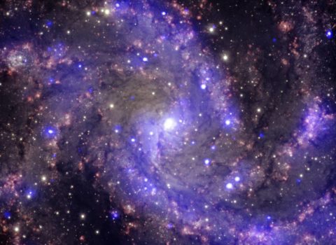 Galaxies & Cosmology