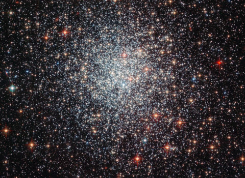 Interacting Stars & Stellar Populations