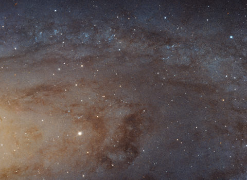 Hubble Image Mosaic of Andromeda