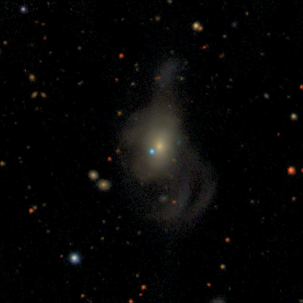 SN2019yvq in the Host Galaxy NGC 4441