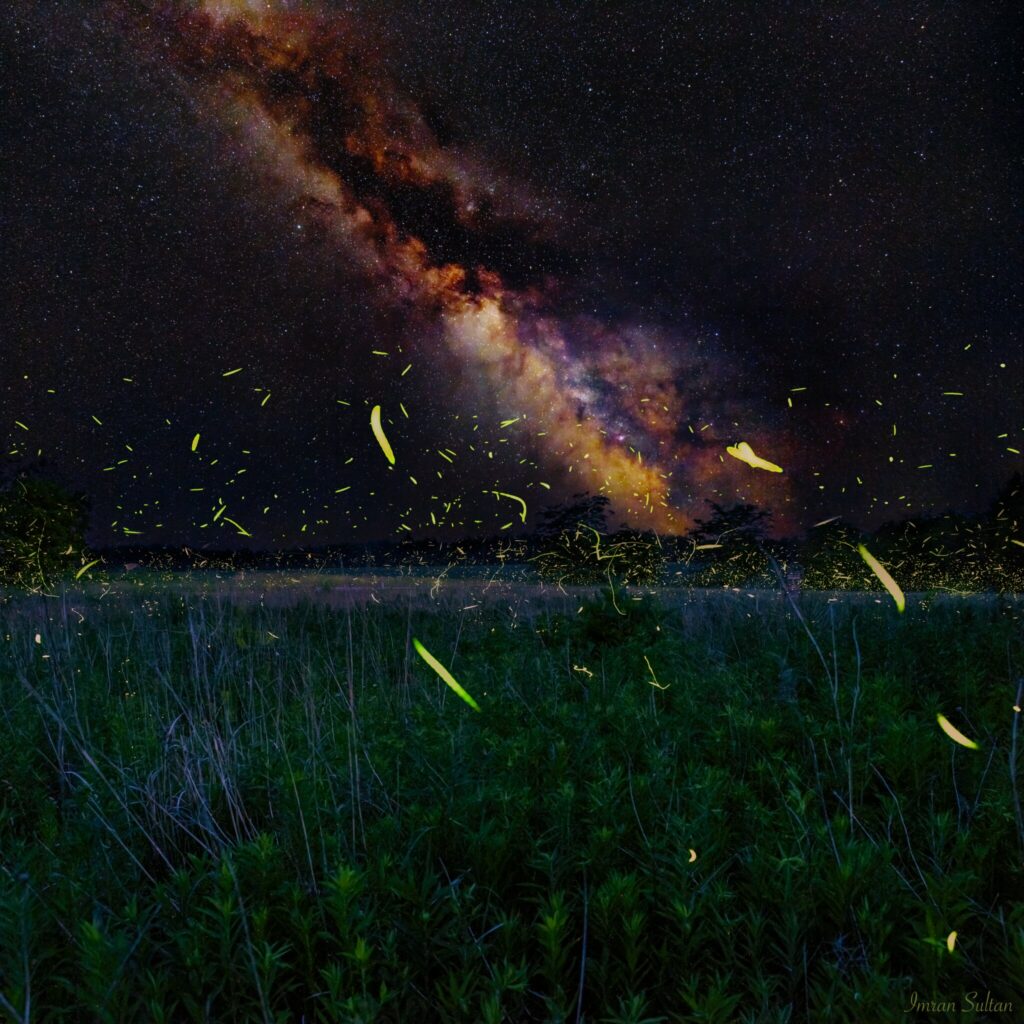 Dance of fireflies in the core of the Milky Way