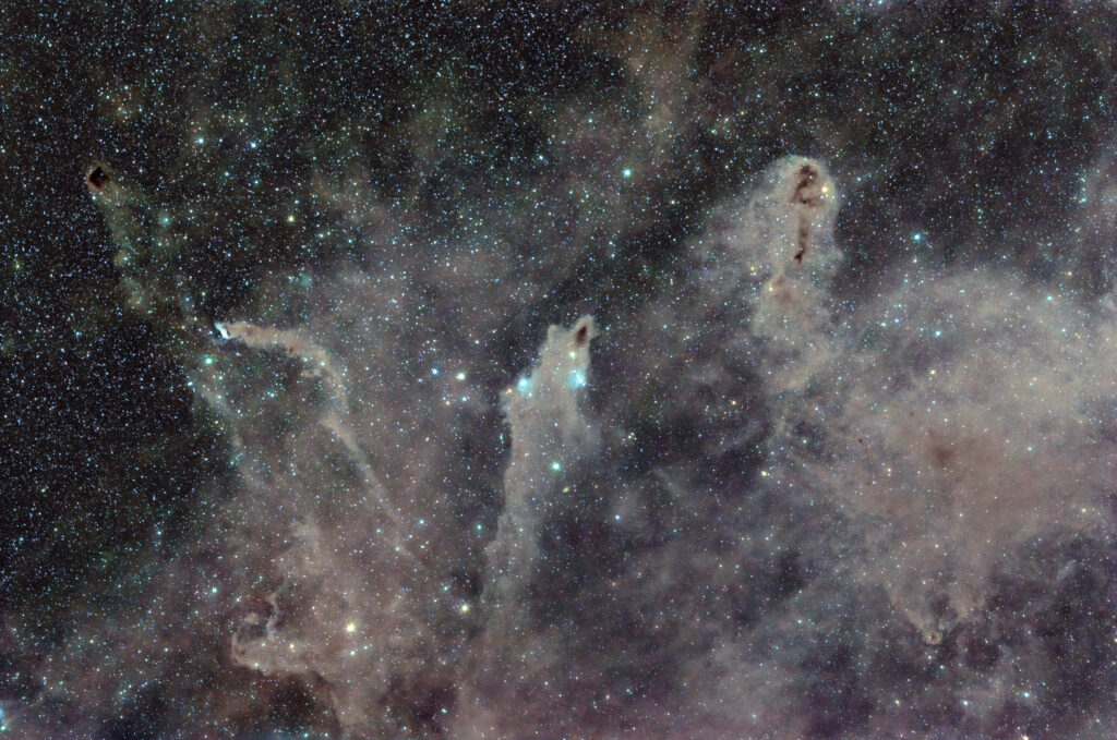 Shark Nebula