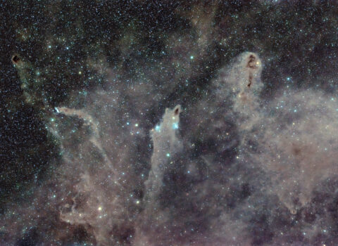 Shark Nebula