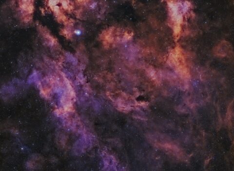 Sadr Region, Butterfly Nebula, and Crescent Nebula